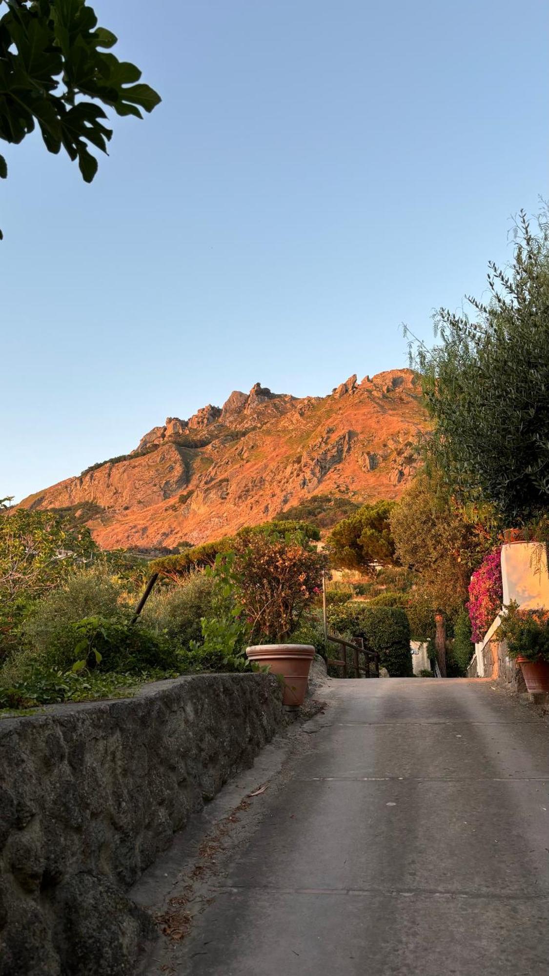 Villa Moma Giardino, Tennis E Piscina Panoramica Ischia Exterior photo