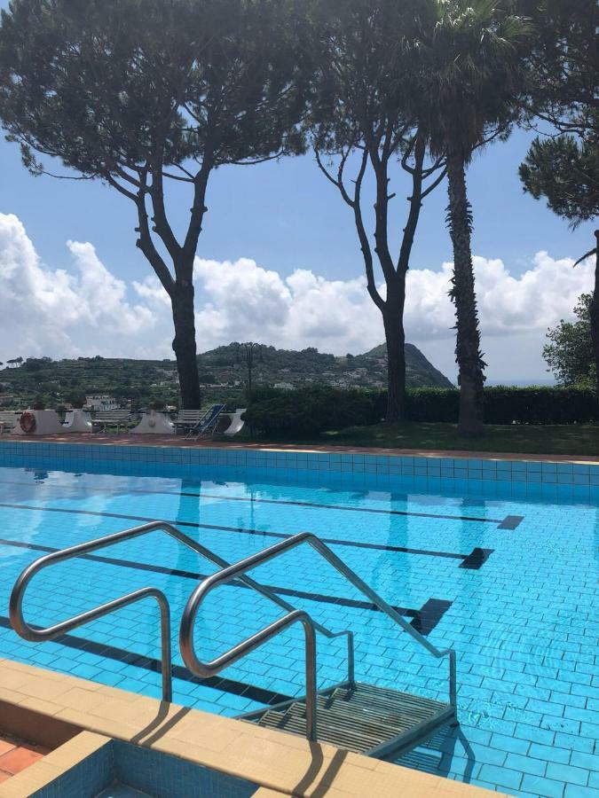 Villa Moma Giardino, Tennis E Piscina Panoramica Ischia Exterior photo