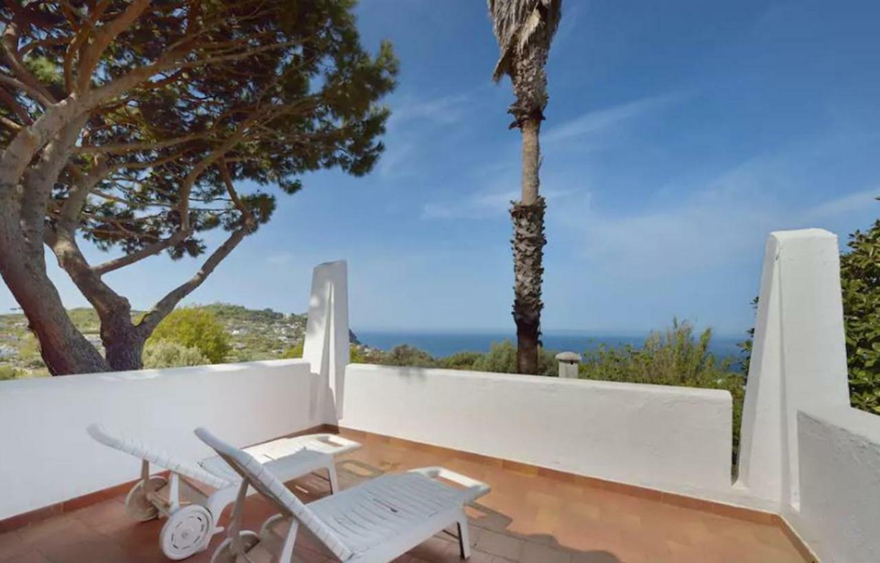 Villa Moma Giardino, Tennis E Piscina Panoramica Ischia Exterior photo